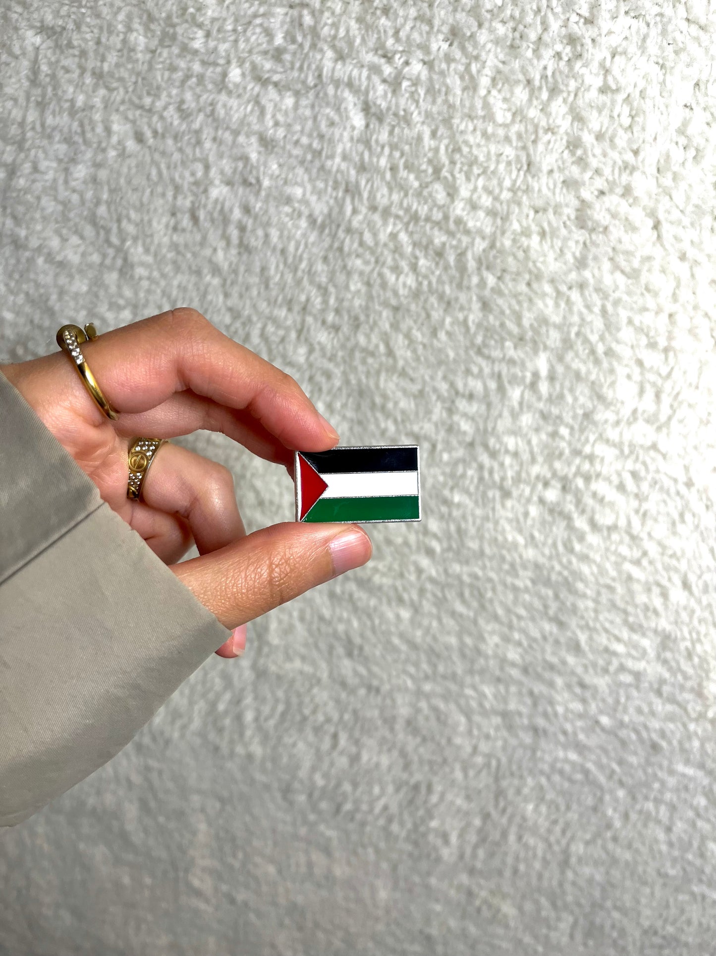 PINS PALESTINE