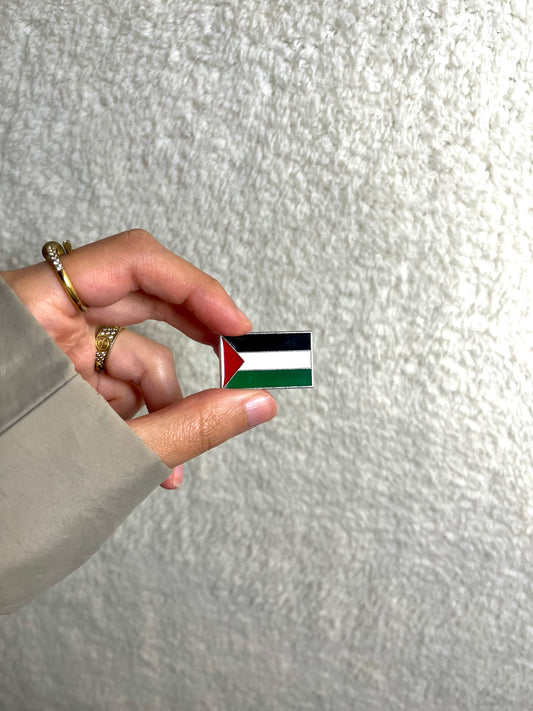 PINS PALESTINE